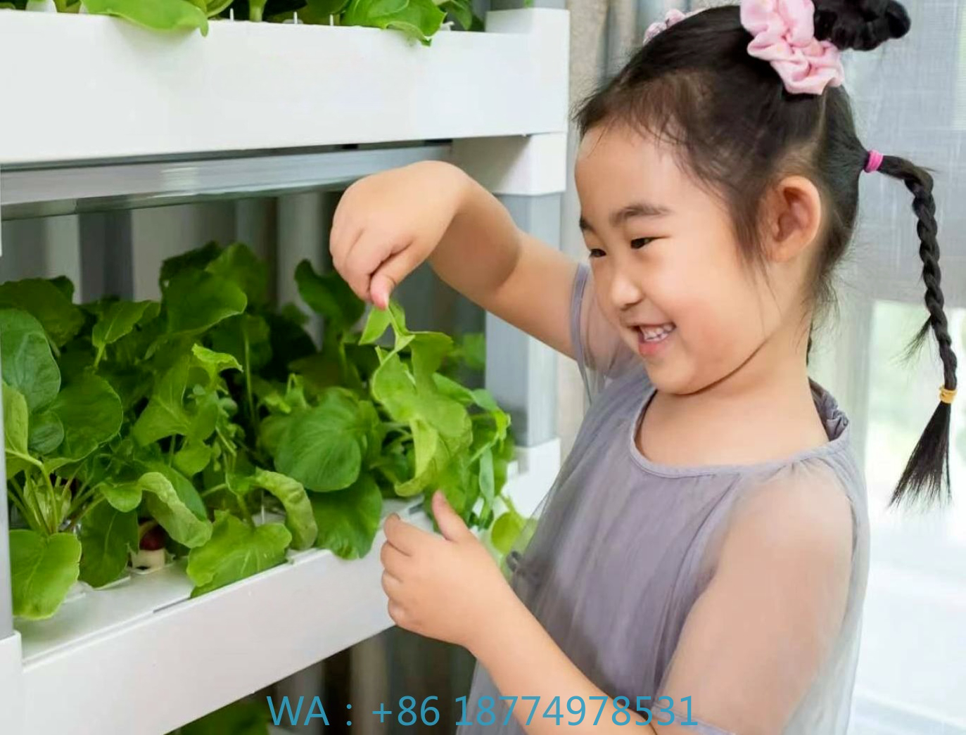 nt China Hydrokultur Grow Box  - Diy Home Automation System recension och pris